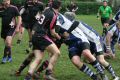 RUGBY CHARTRES 123.JPG